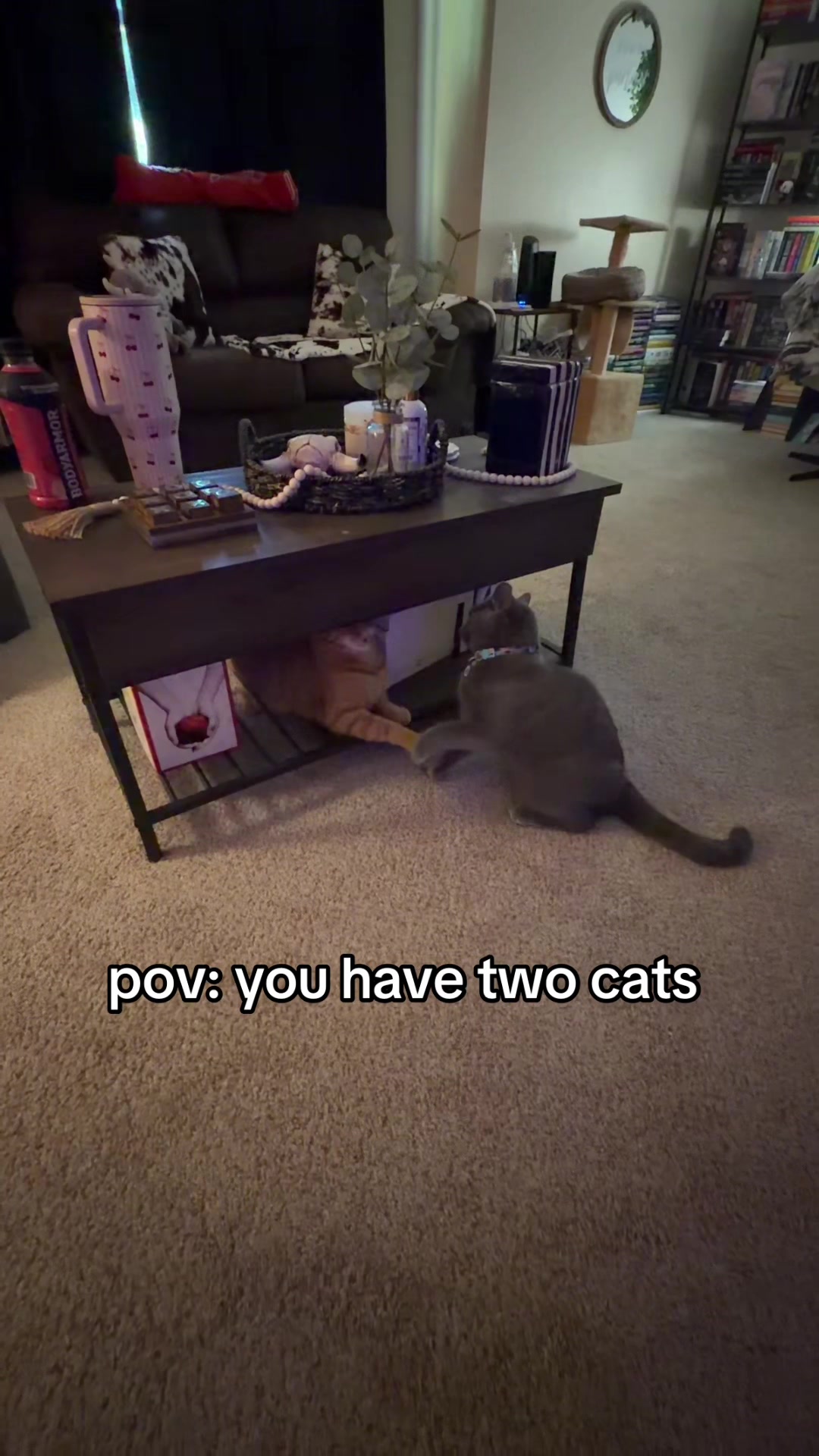 @sav <3