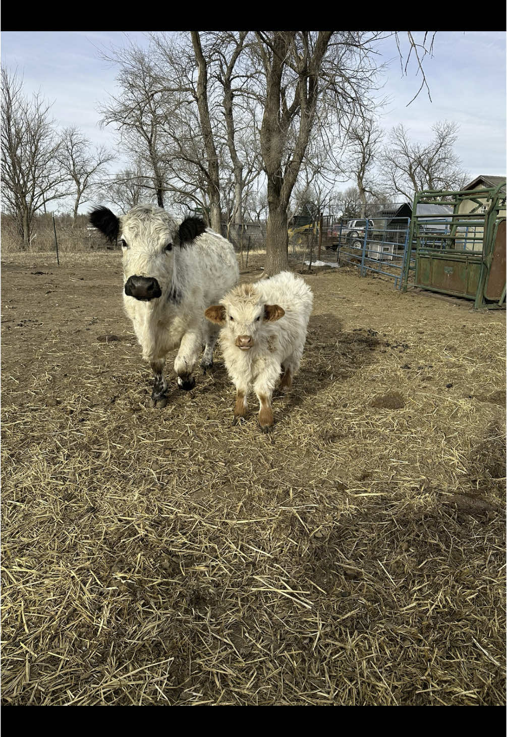 @Tami | FarmD Family Farm