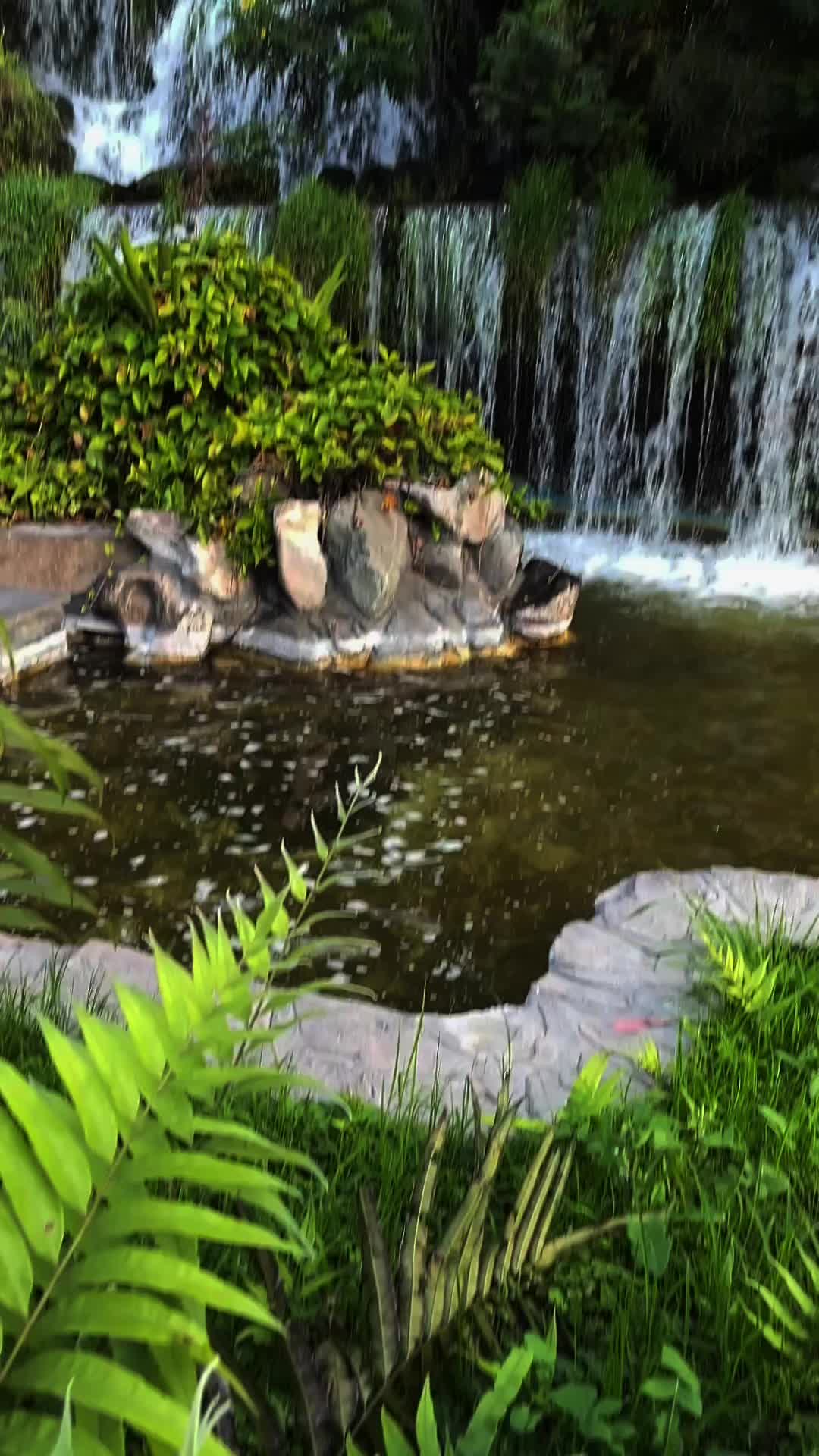 @alemedinag2405