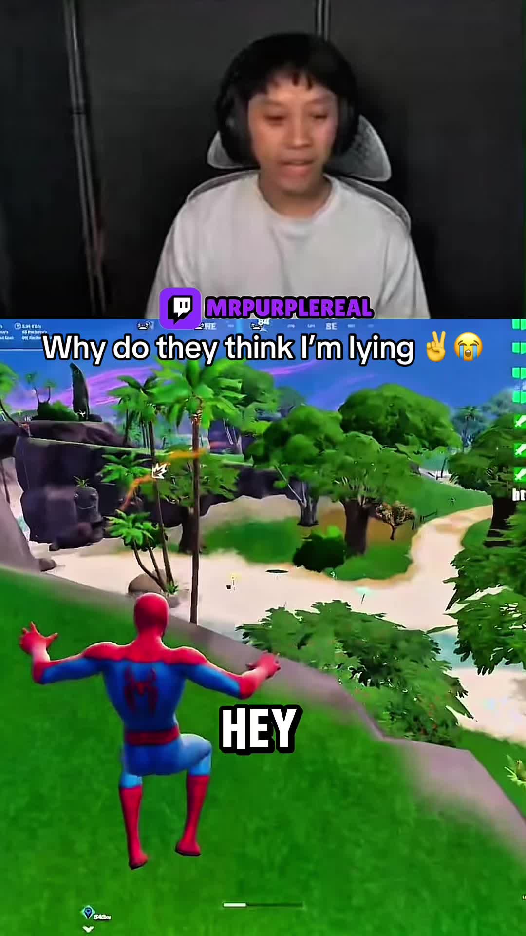@MrPurpleClips