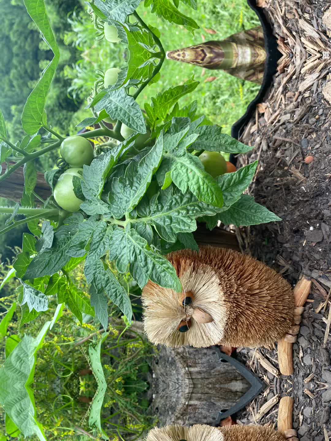 @Cindy loves nature
