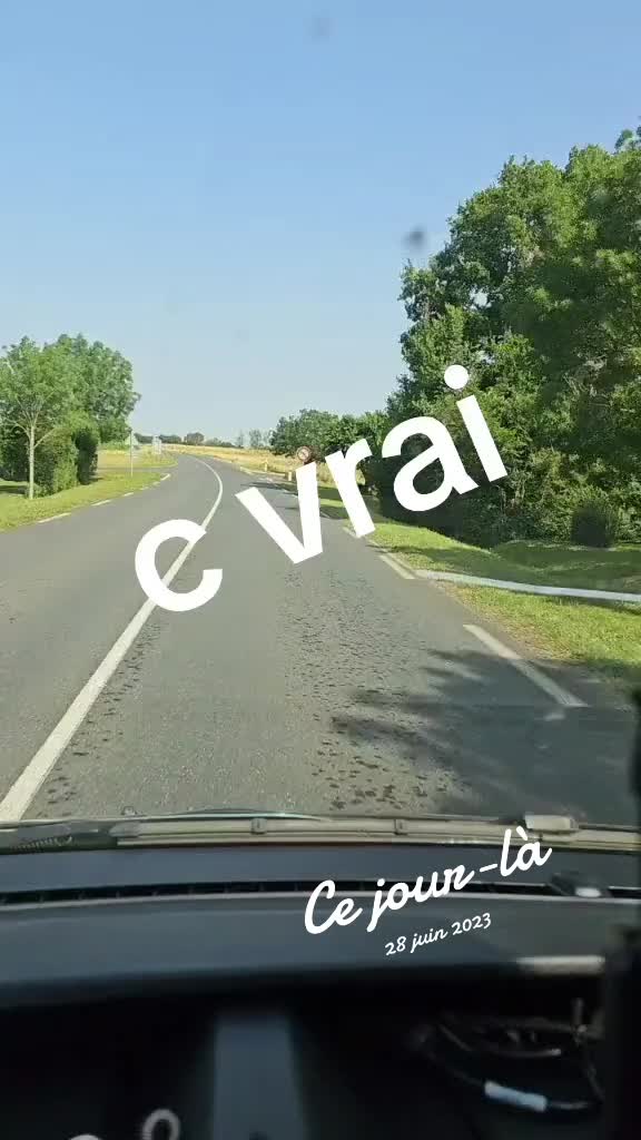 @chorizo1983