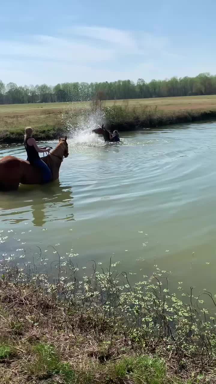 @oluuslqxjs