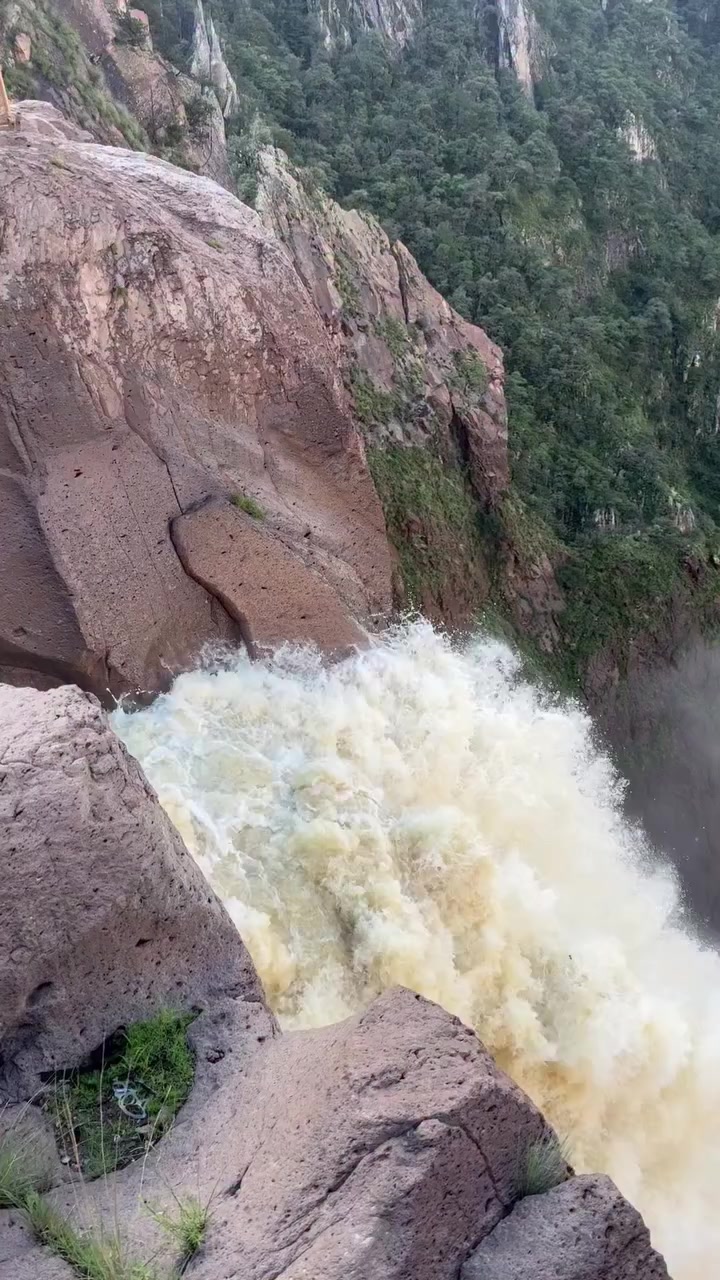 @Jesus Trevi&ntilde;o
