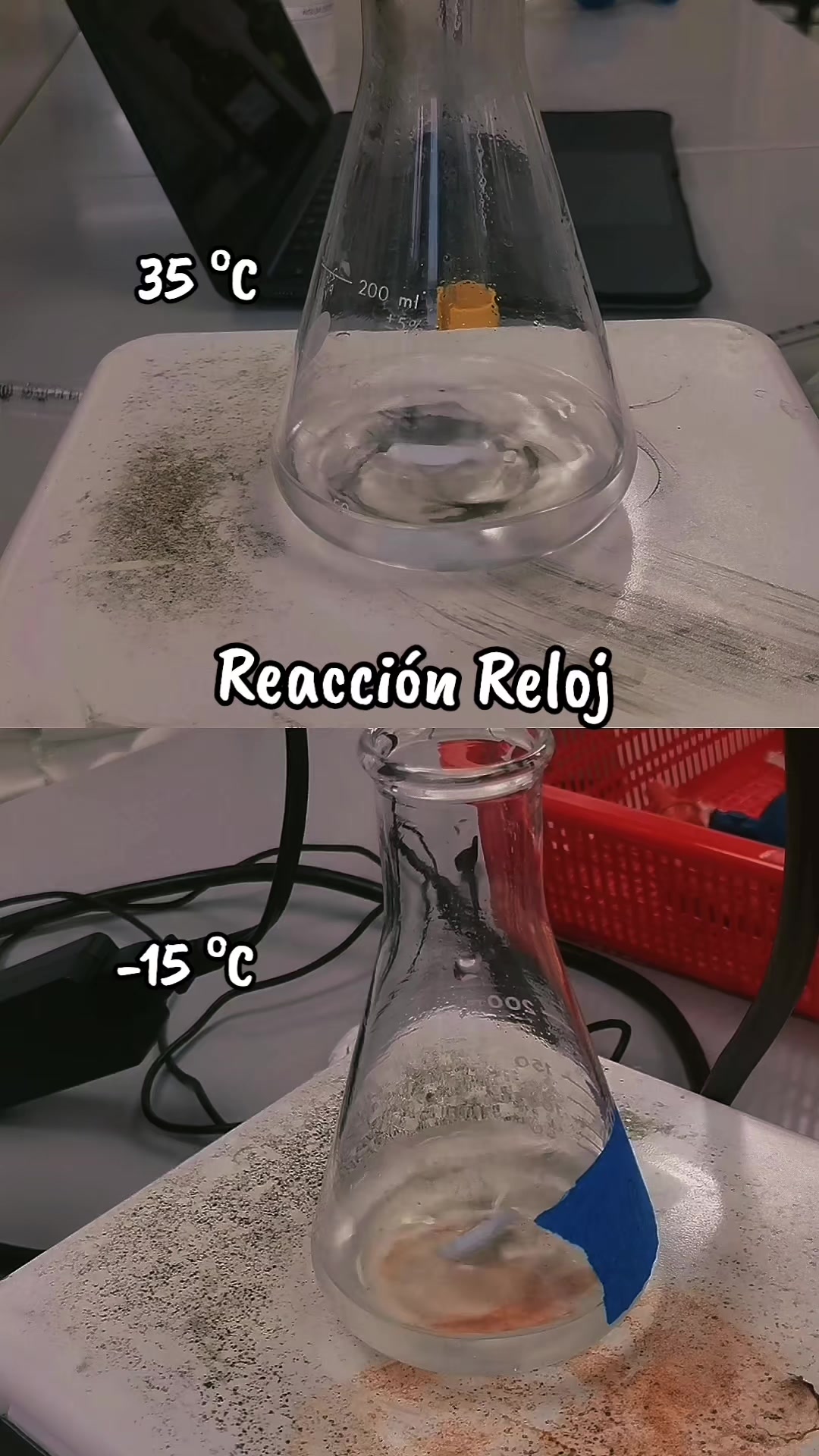 @Dulce Nano👩🏽&zwj;🔬