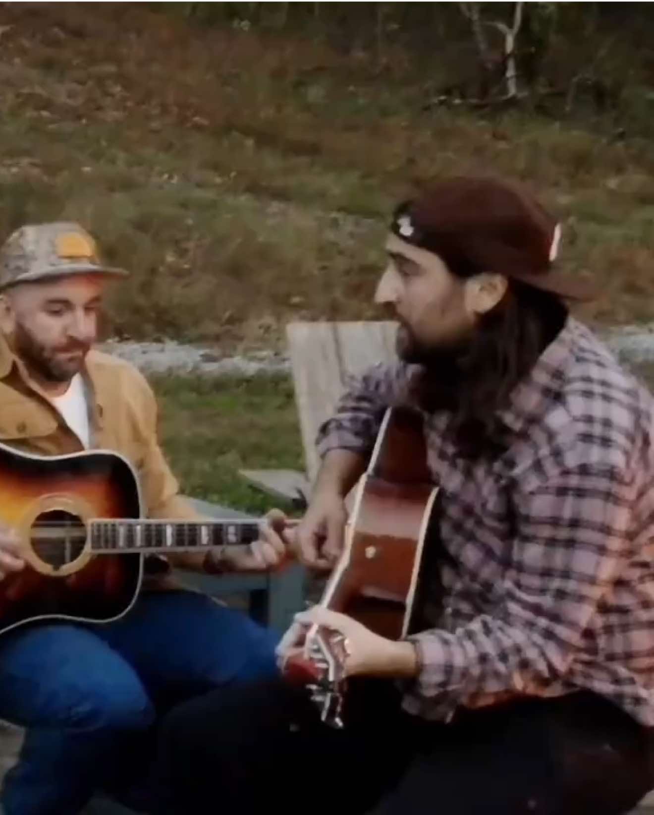 @thelastofthebugs
