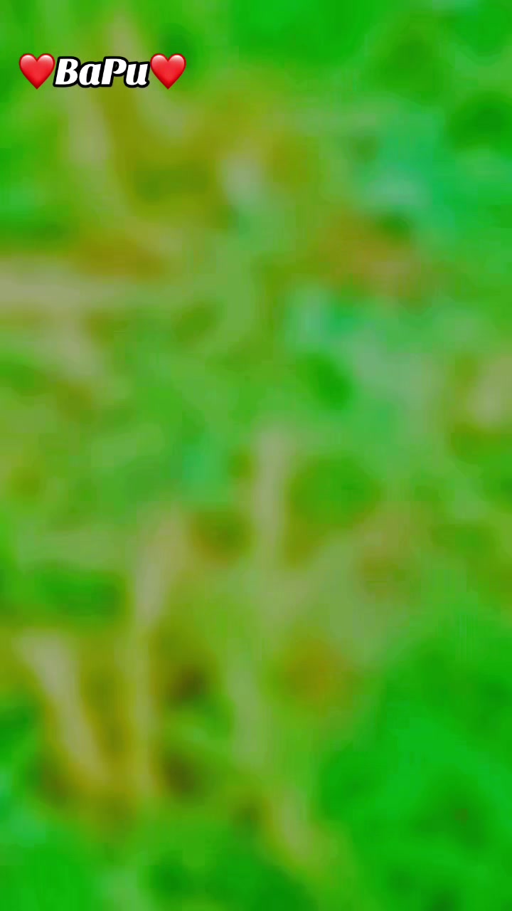 @𝖍𝖚𝖗𝖊𝖗 𝖉𝖆𝖆𝖗