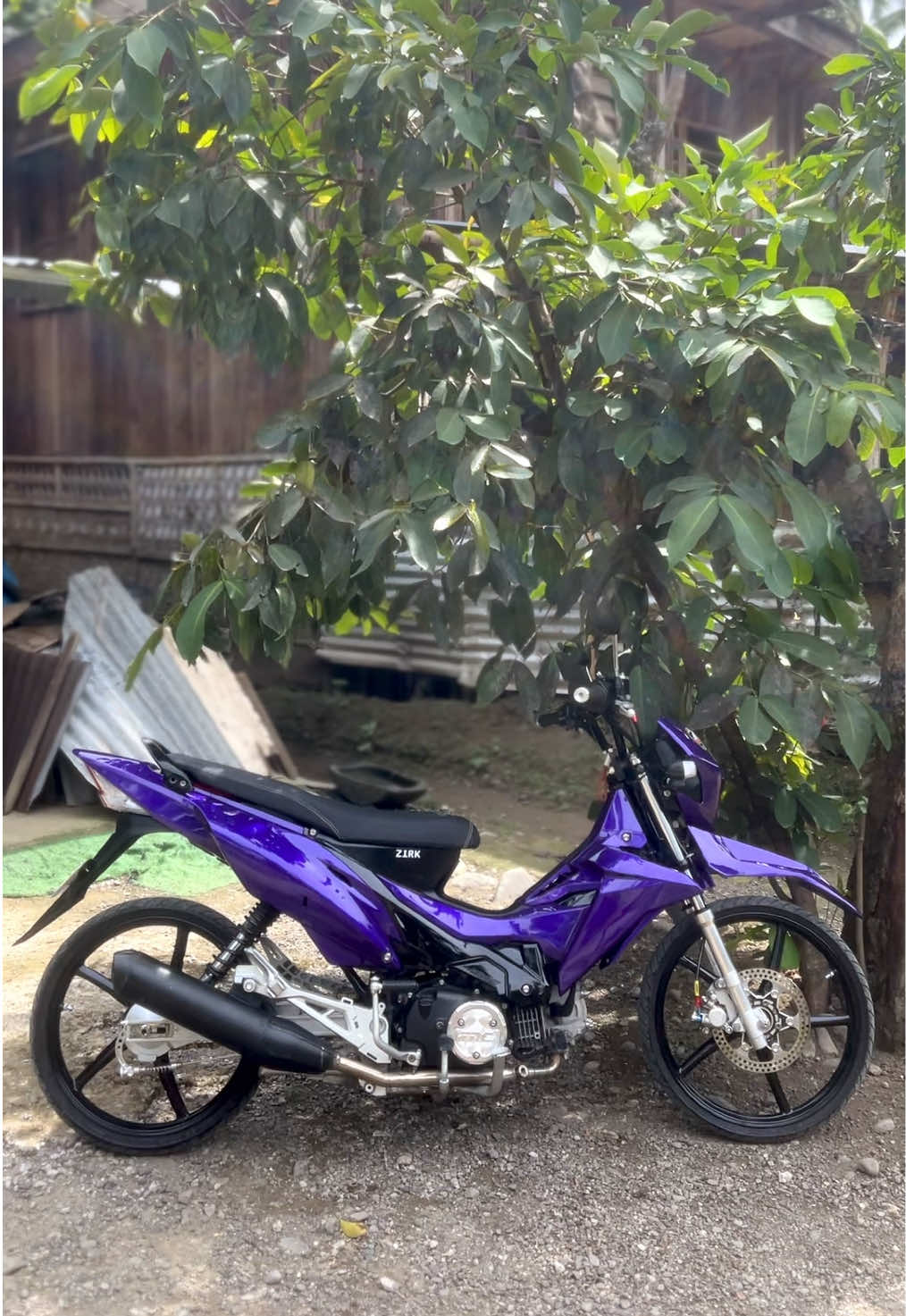@HaroldT🇻🇳