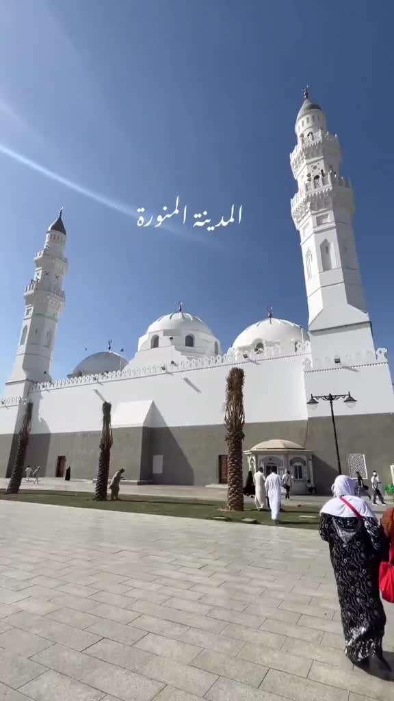 @Afzaalchattha144