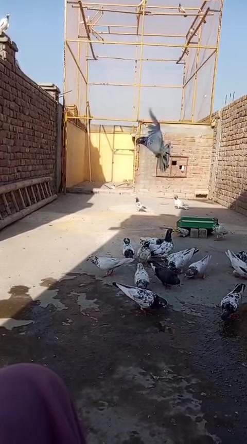 @亗๛KH&Aring;&Ntilde;亗93