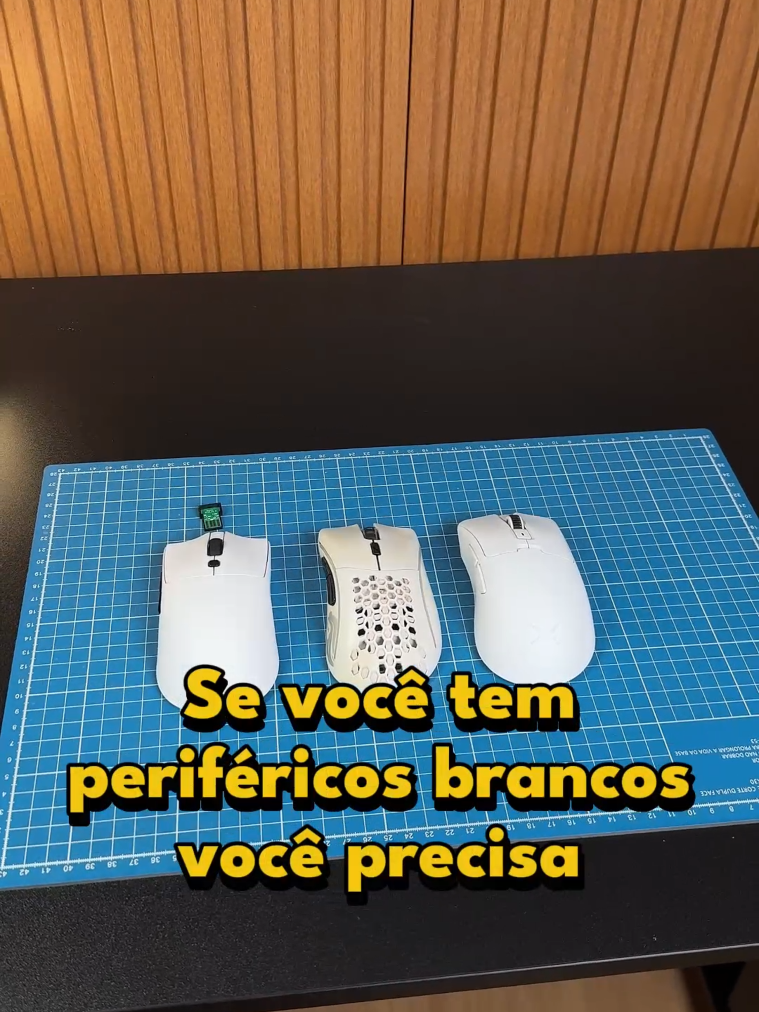 @Poison | Setup Gamer