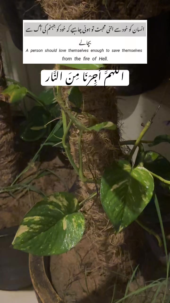 @ayeshazaib_777