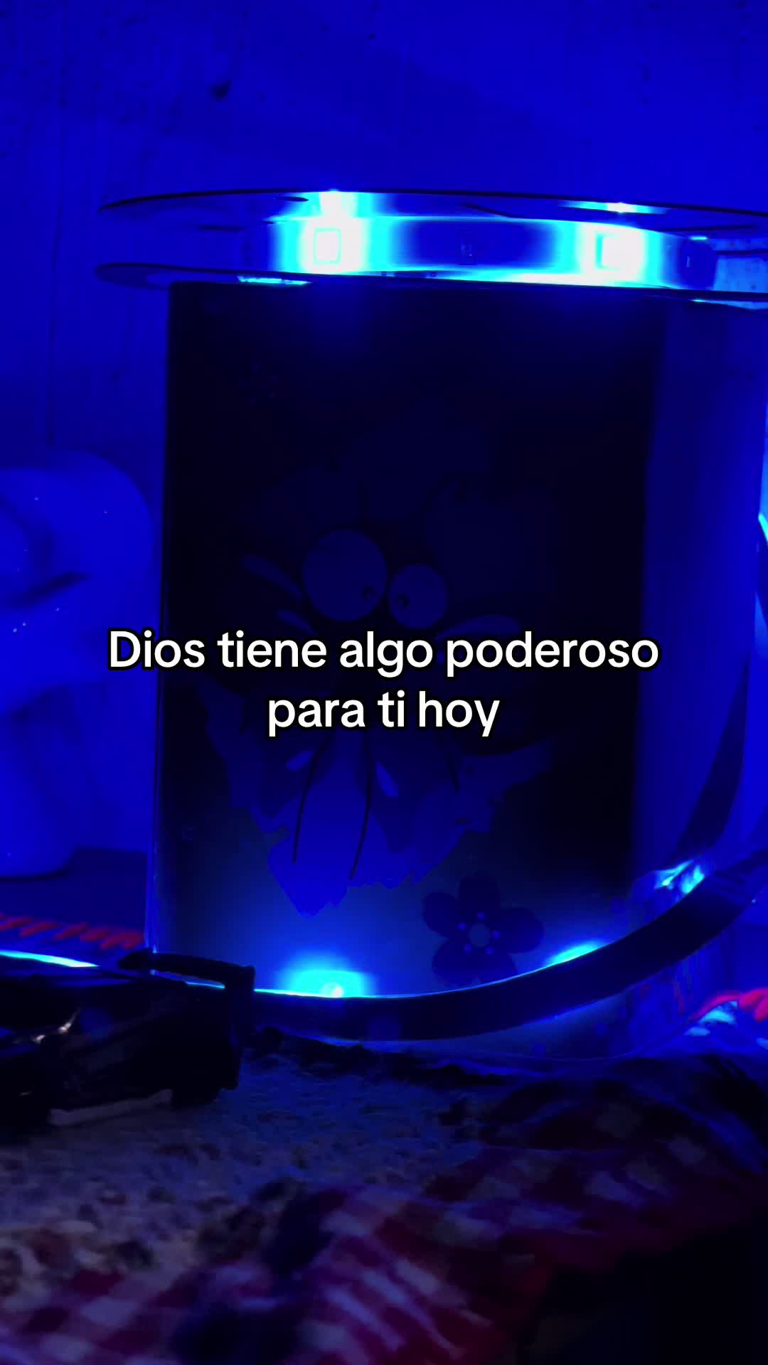 @BENJI.gt