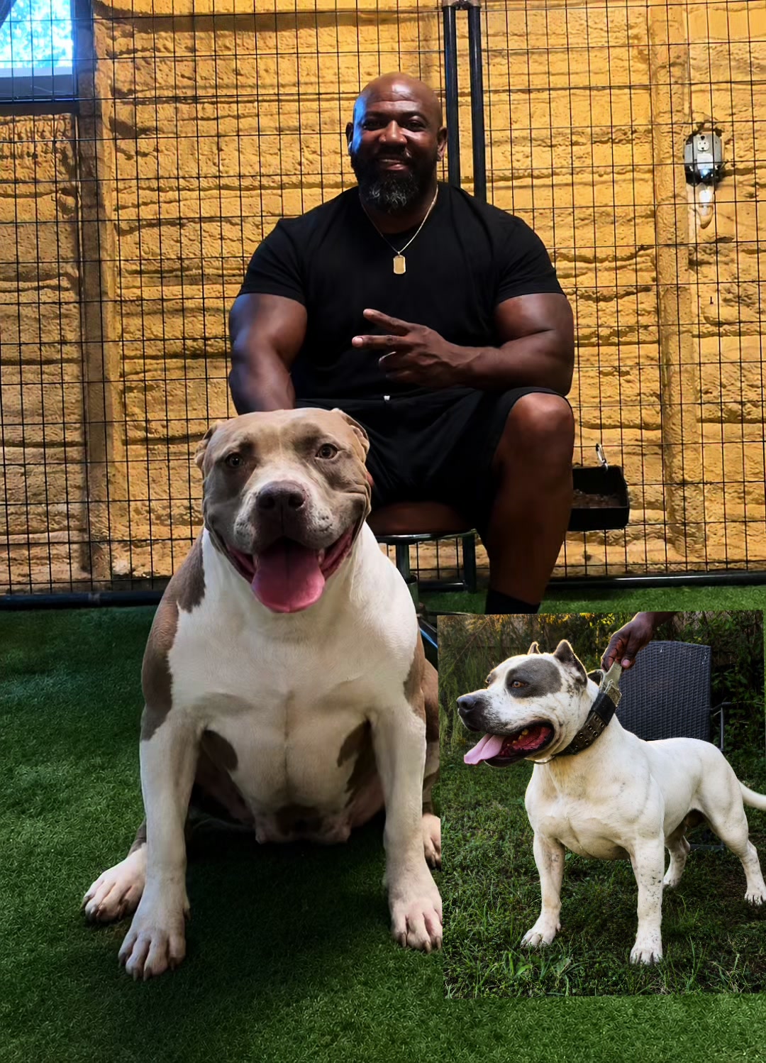 @Buff N Blue Bullies