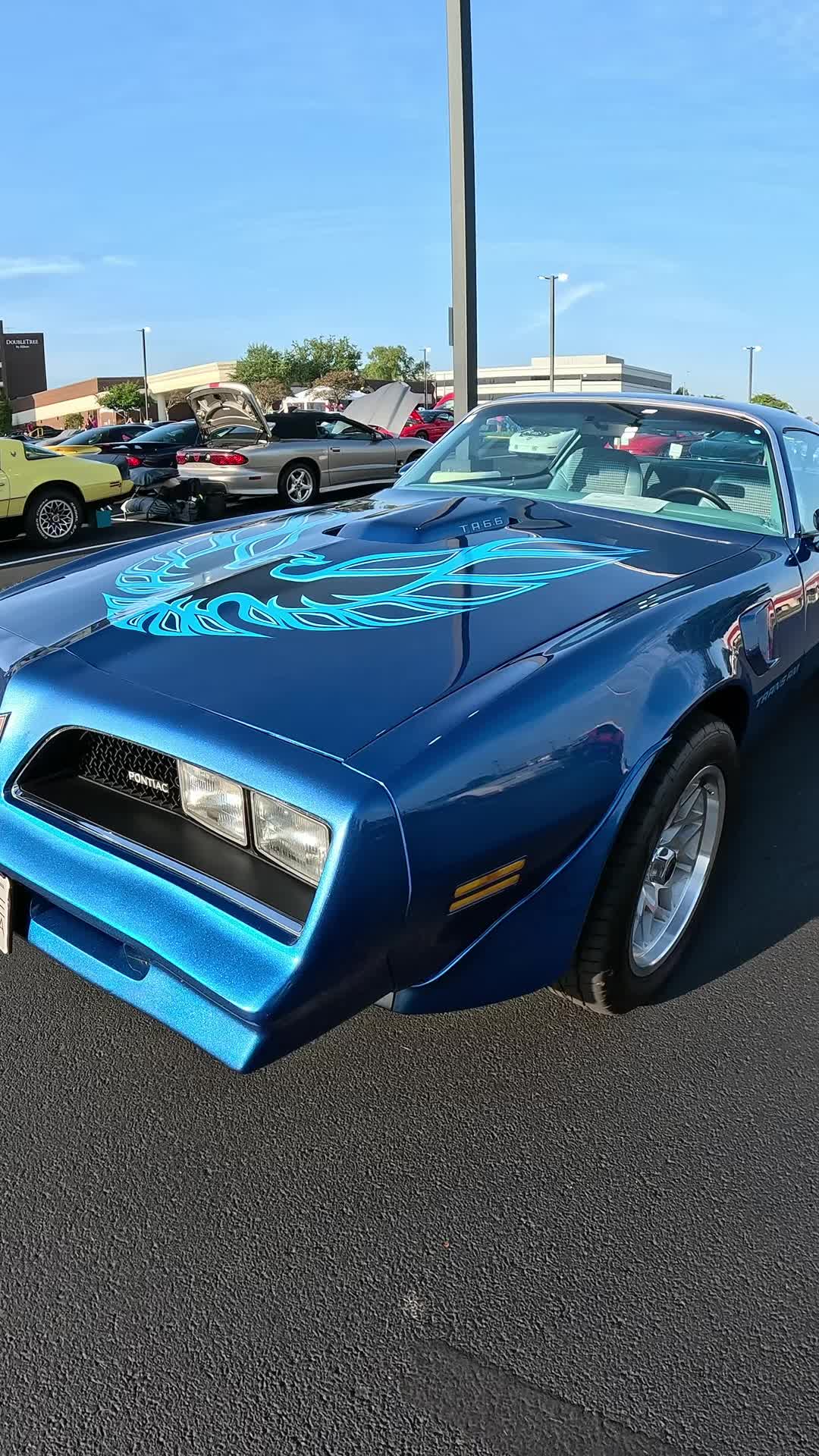 @Cars and Adventures