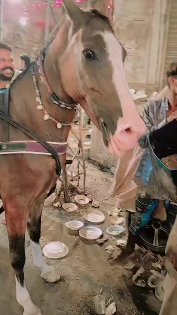 @ali Gujjar