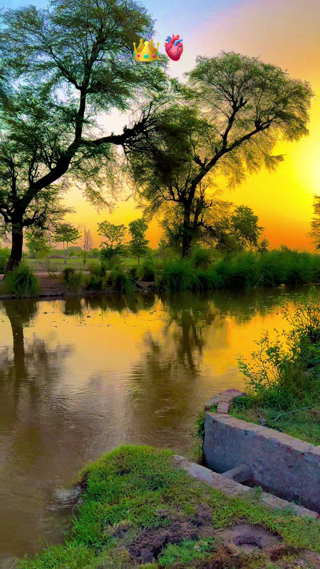 @پنجابی کلچر 🌾🍂