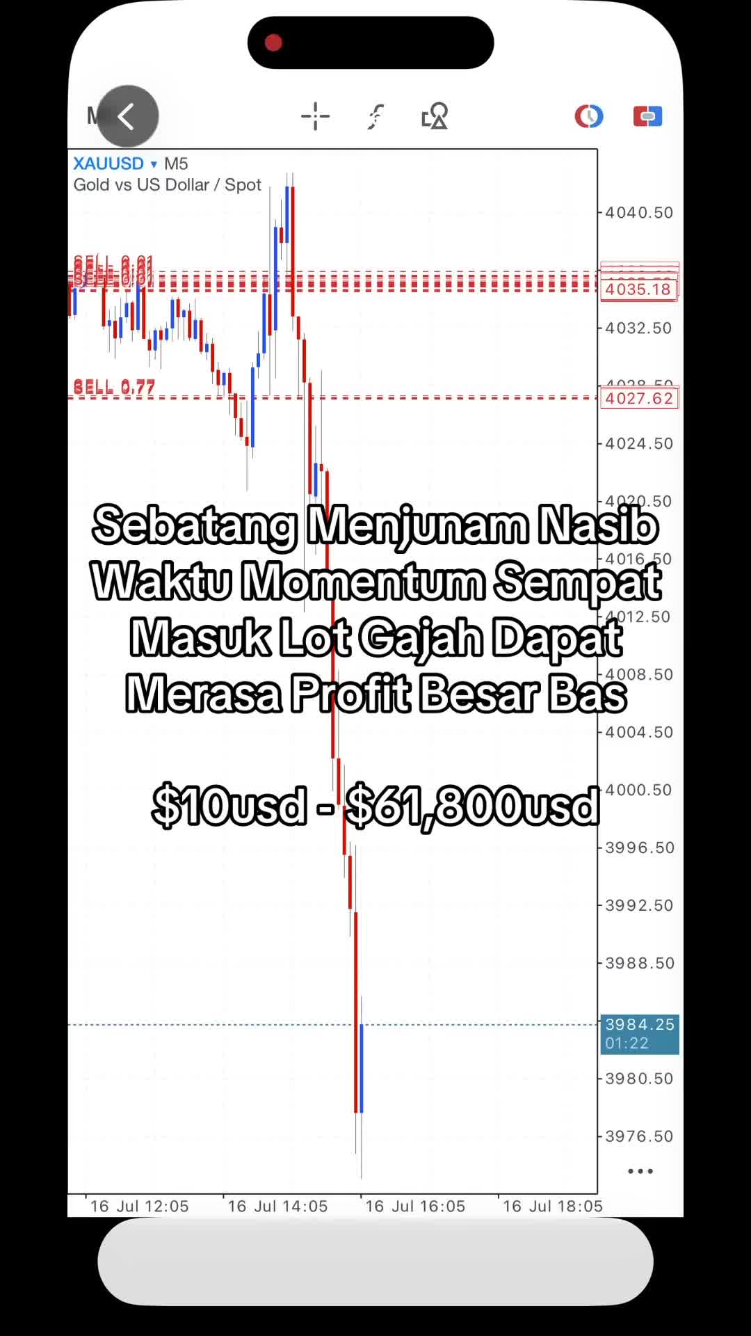@tradersukaflip