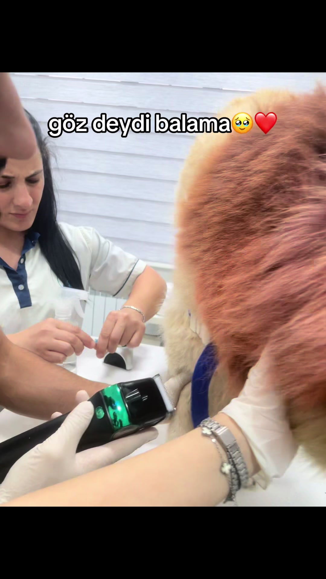 @tobi_bakılı