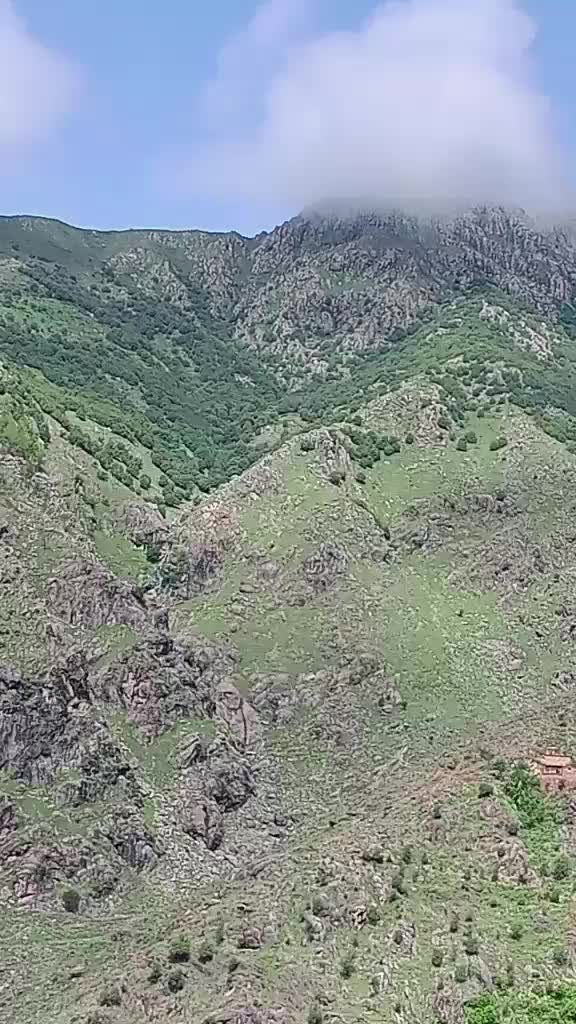 @zarbatkhan