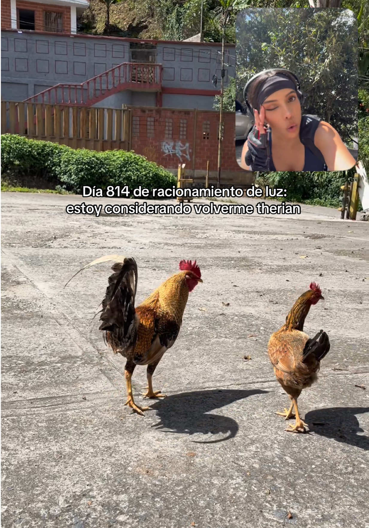 @sofiarodriguezve