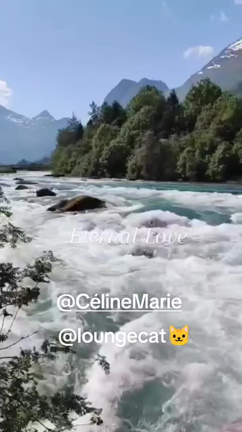 @Loungecat