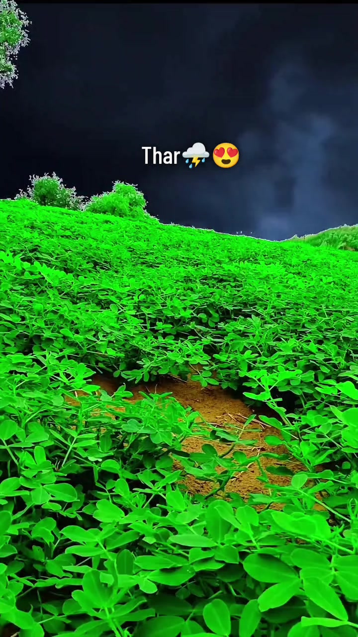 @๐ฅSindhi๐ญ