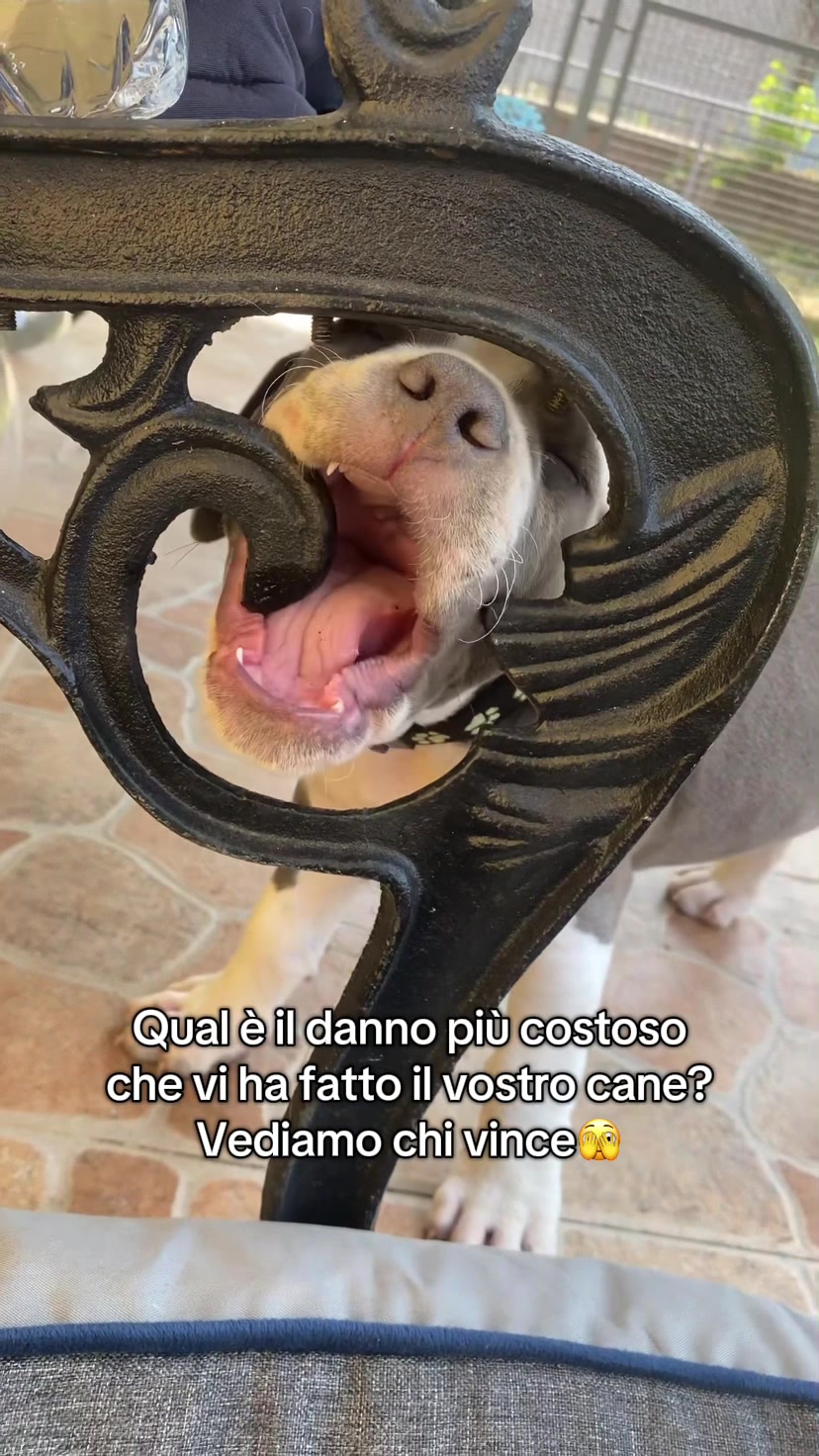 @sabryecasper