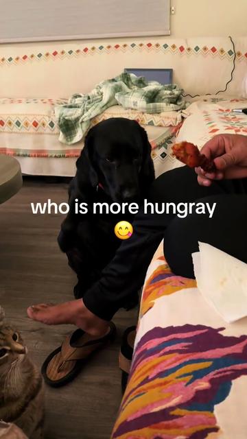 @Rani Kaur