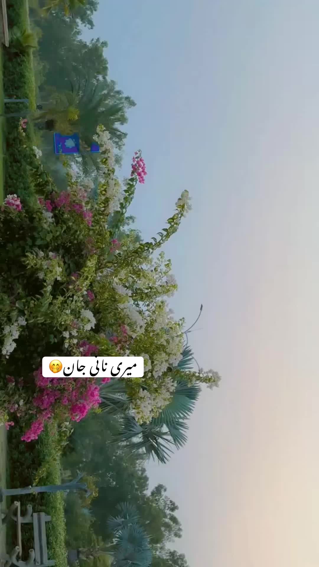 @Muhammadzayan official