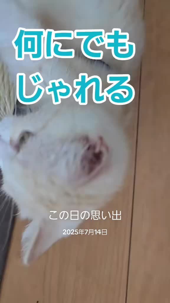 @๐ฎ๐ฎ๐๐³โ๐๐naomama
