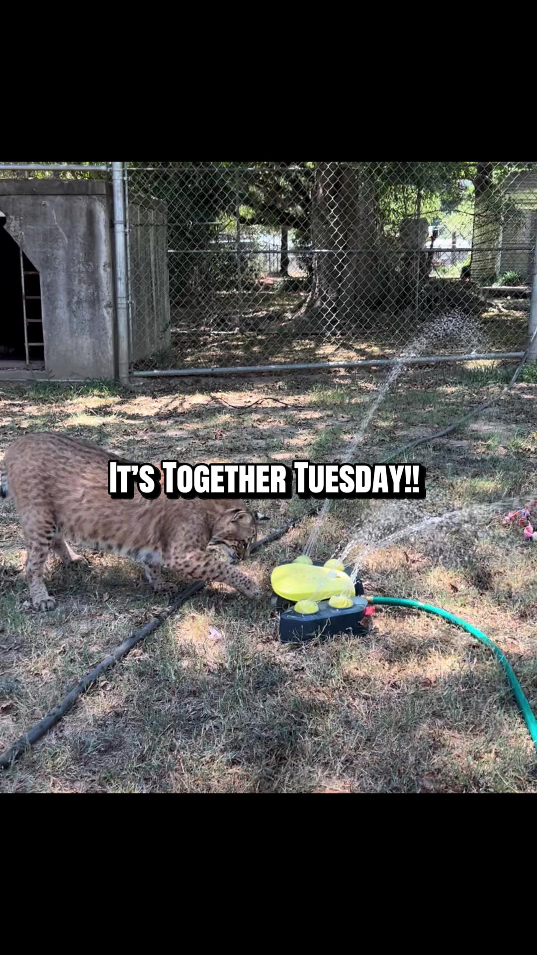 @Cedarhill Animal Sanctuary
