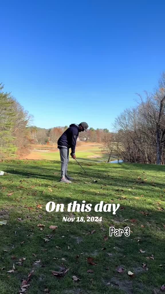 @Never Pure Golf