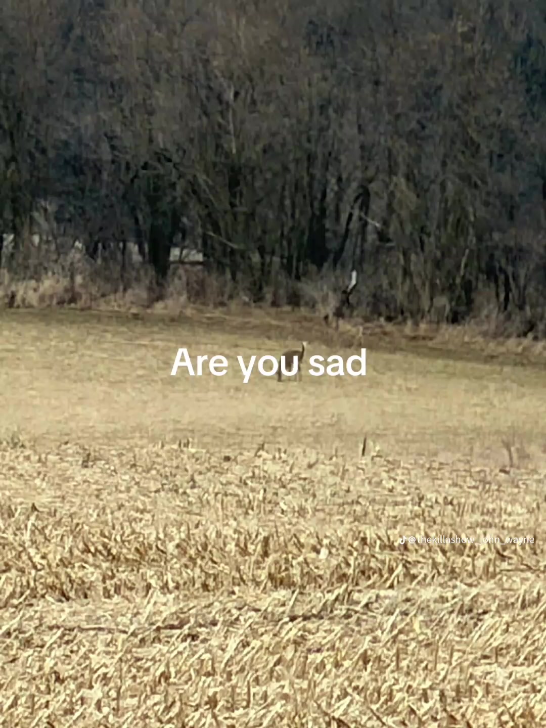 @𝕍𝔼ℂ𝕋𝕆ℝ