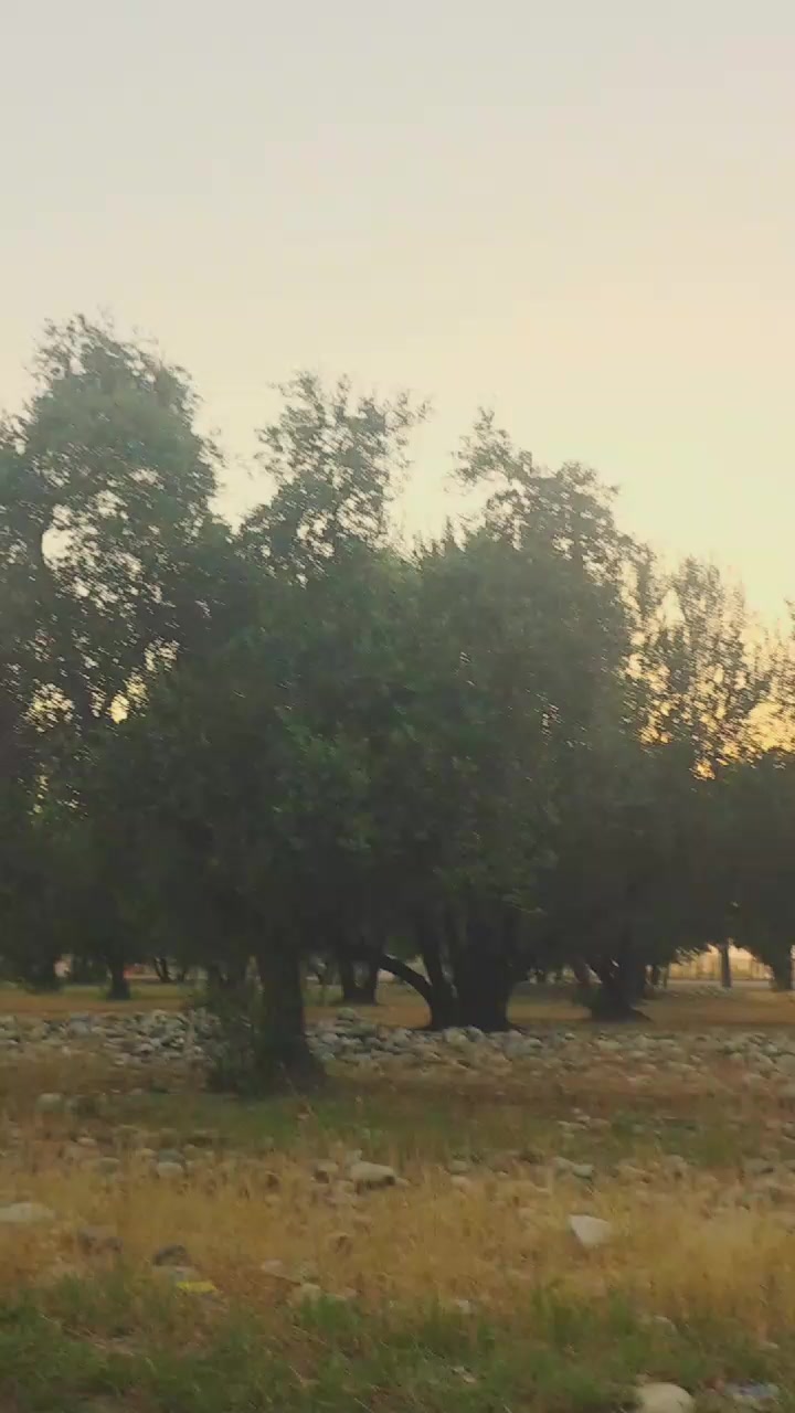@❤️Hayat Jani🦅