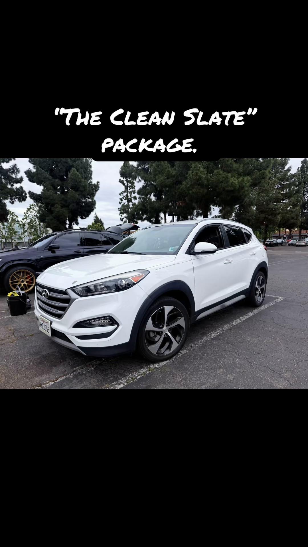 @Apex Auto Spa🦈