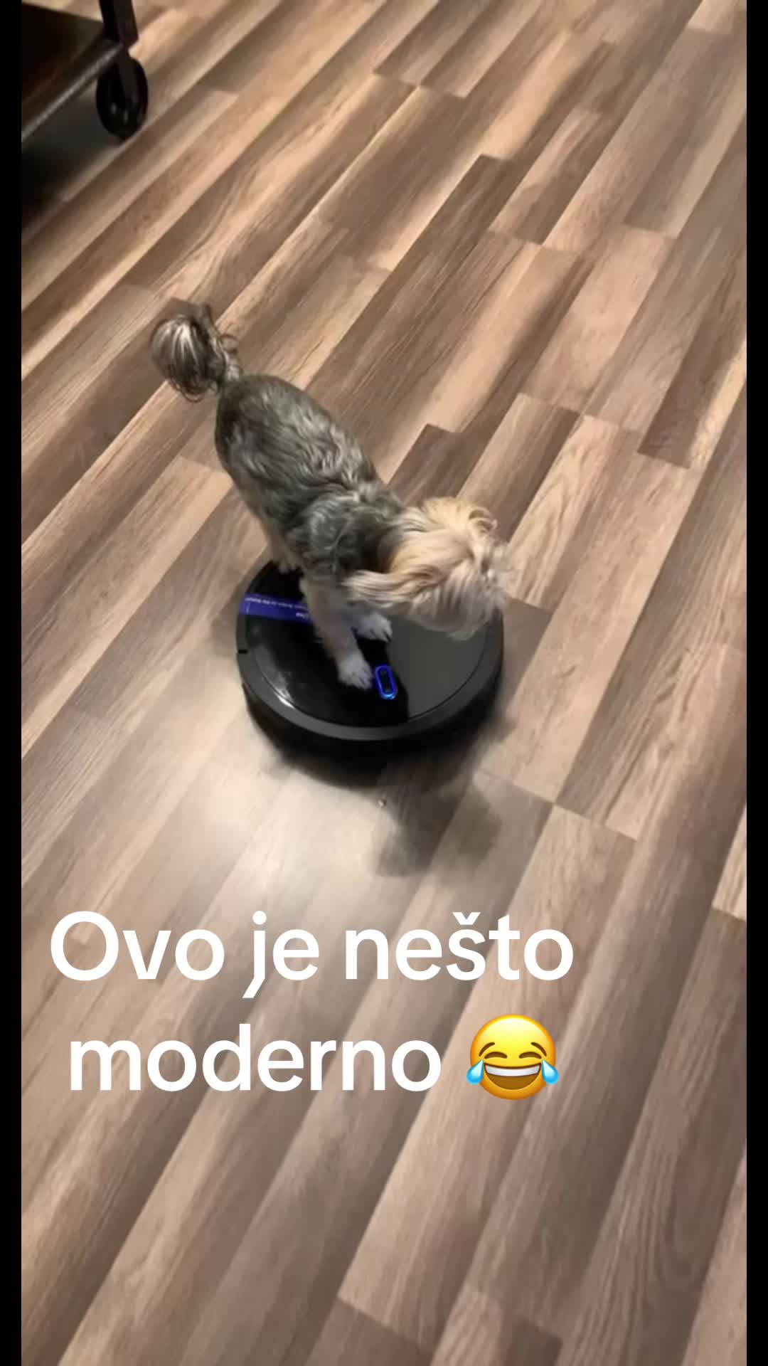 @Selma žena i hrabra u svemu 💕
