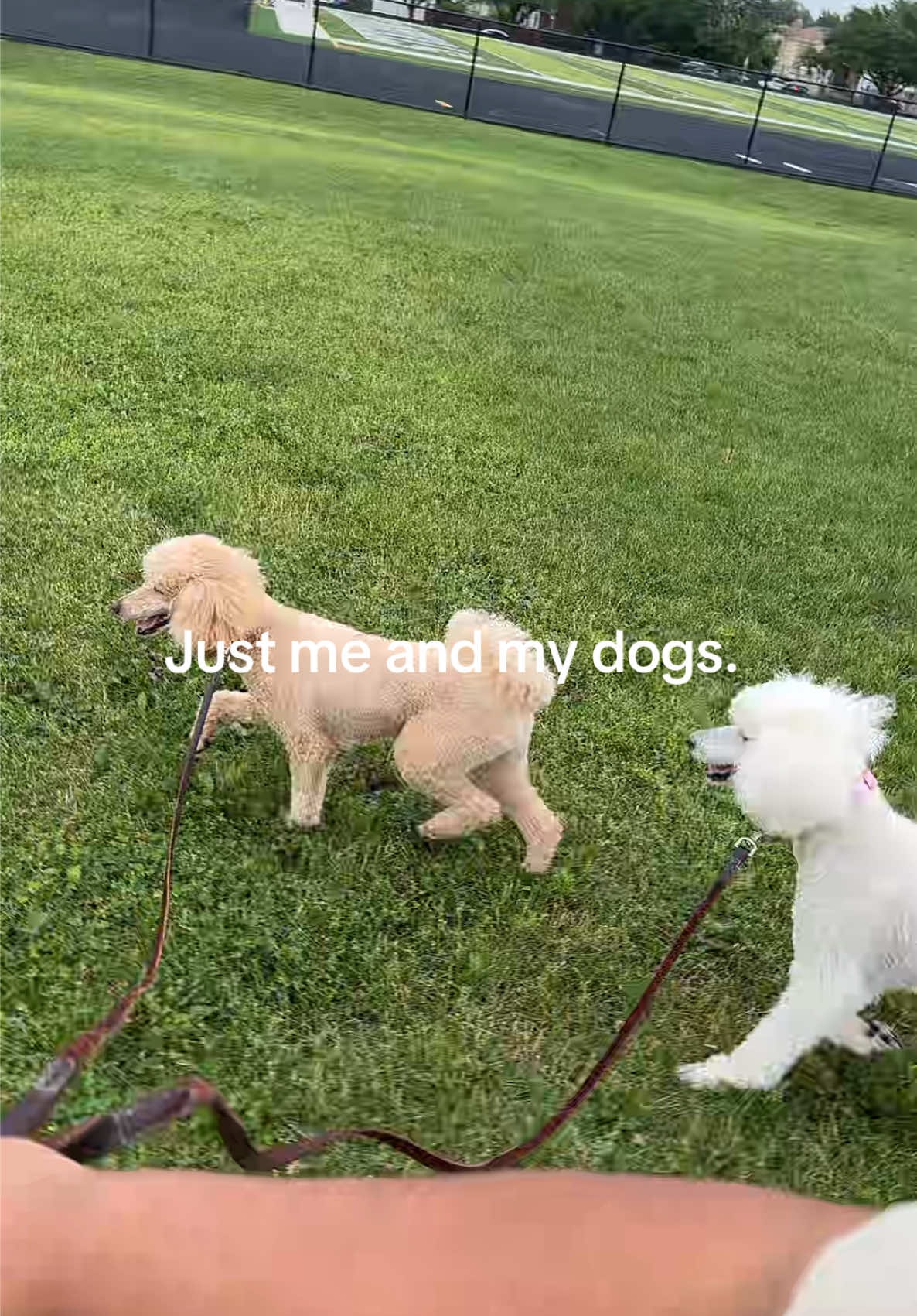 @packwalkdiaries