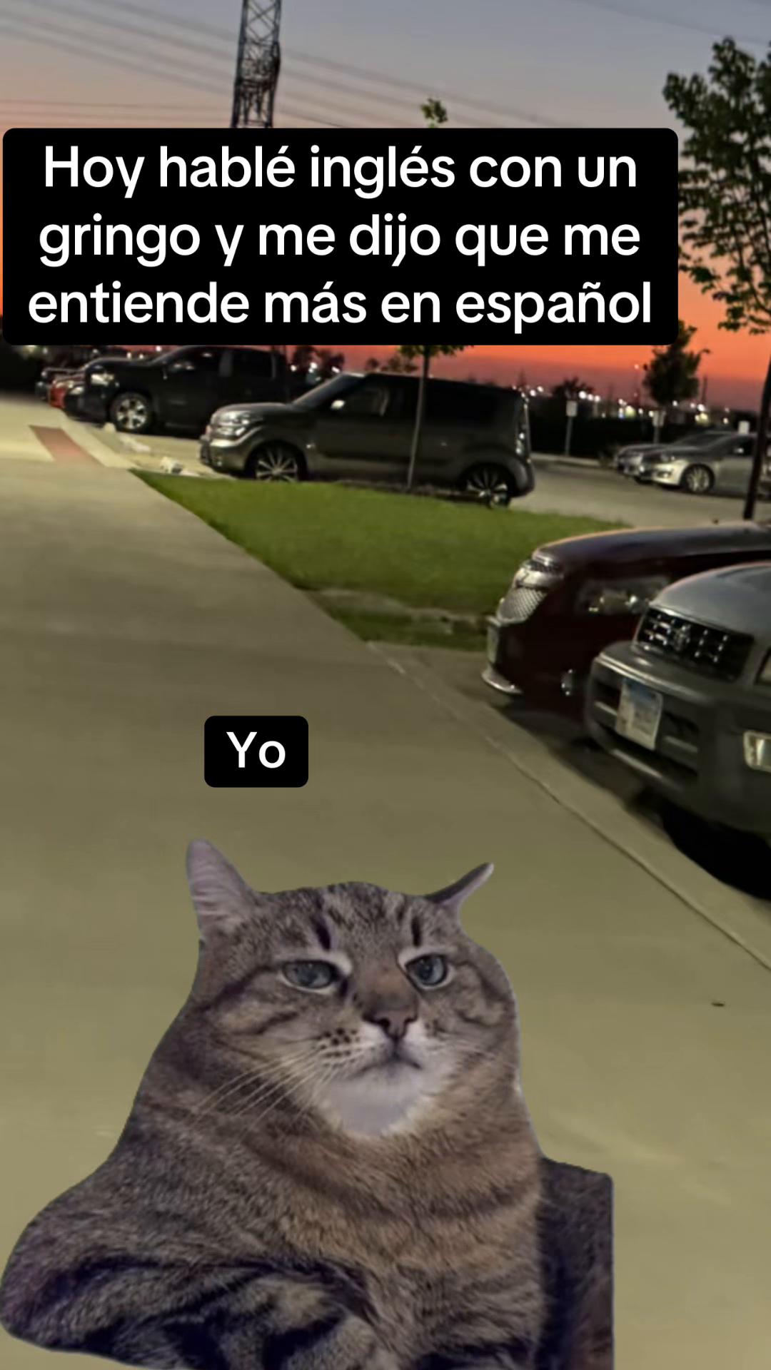 @Hernandez18-2 memes y mas