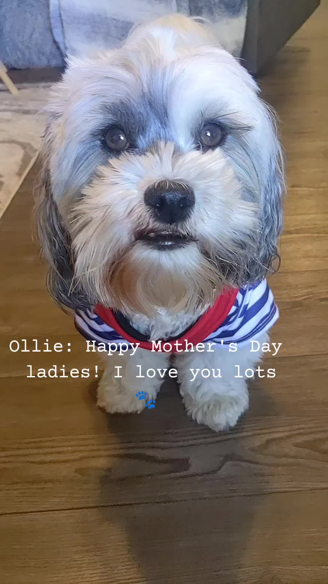 @Amy🩷 and Oliver🐶