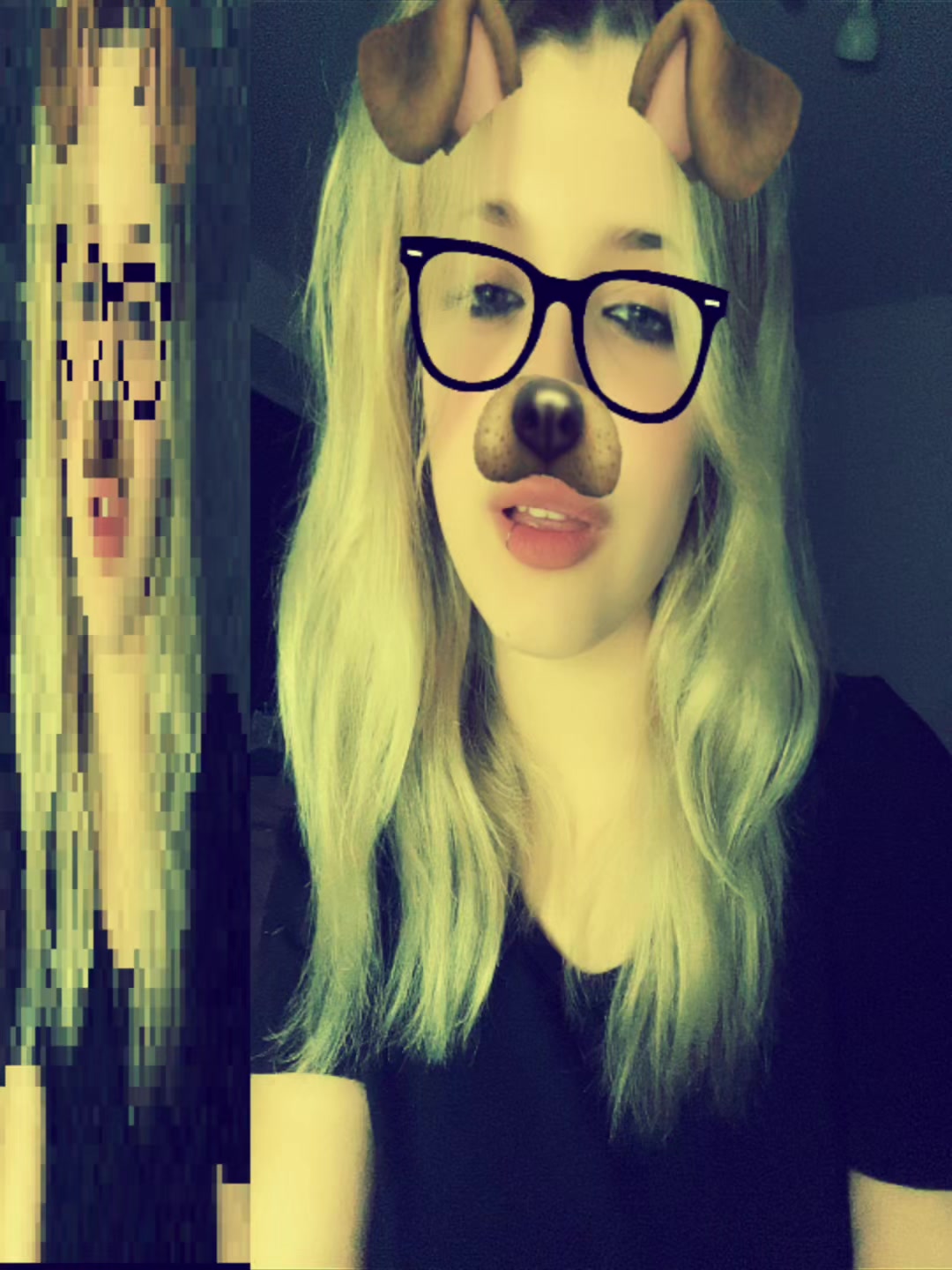 @koshka