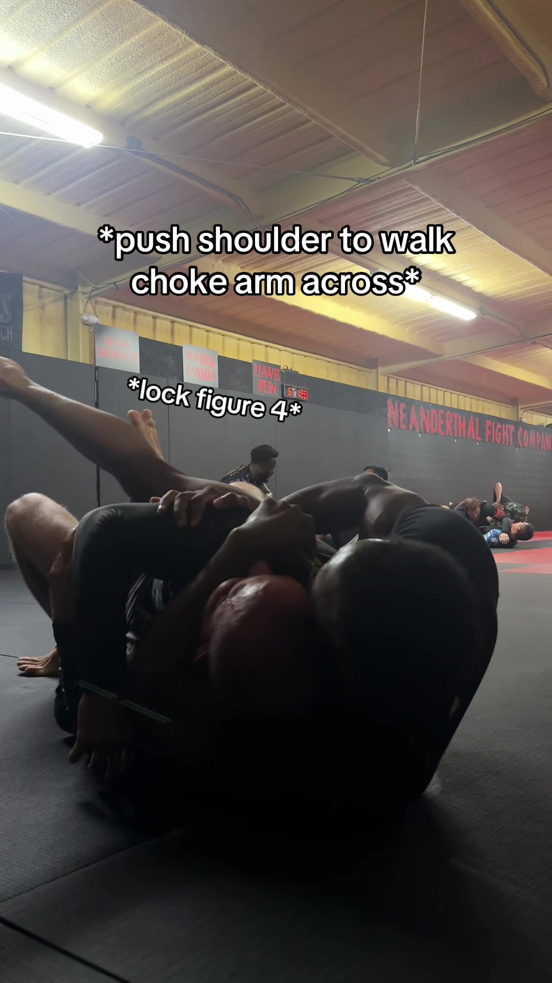 @Bjj.Trell