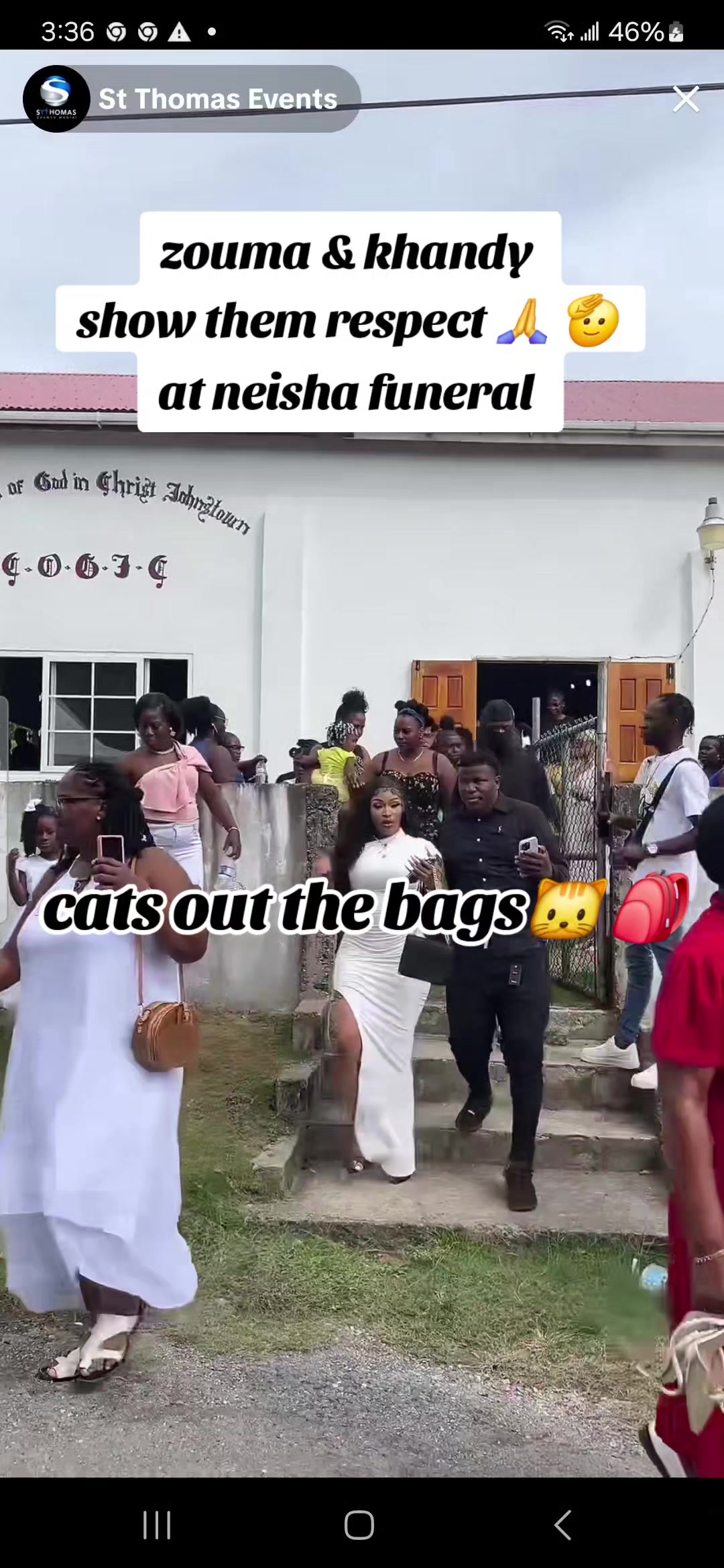 @cats out  the bags 🐱🐱🐱🐱🐱