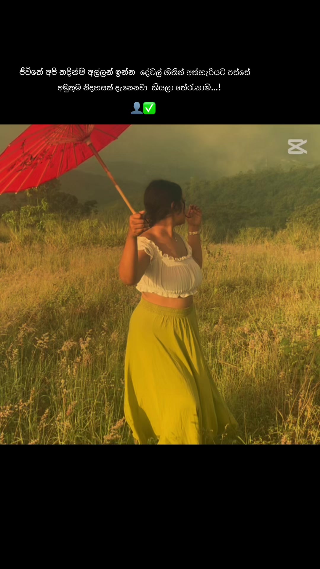 @s&alpha;ch&iota; | සචී | சச்சி 🕊️ღ