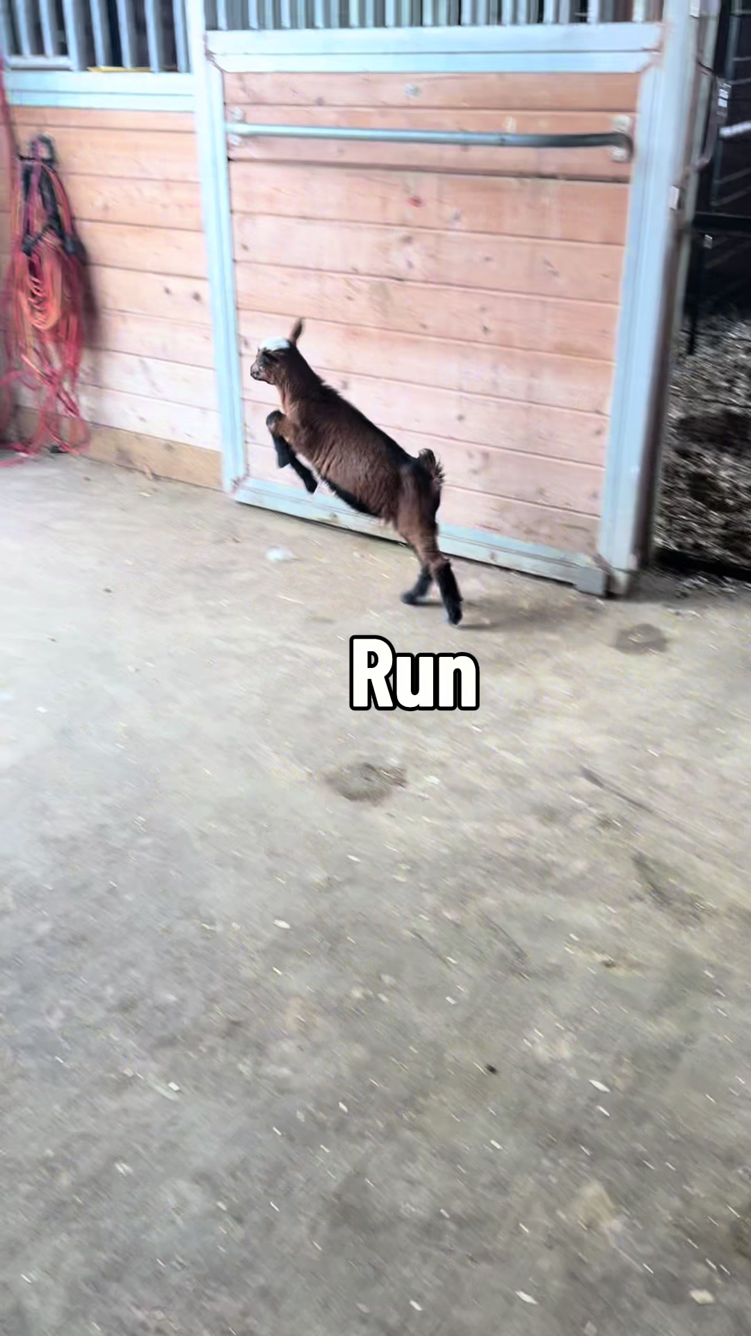 @Party at the barn 🐴