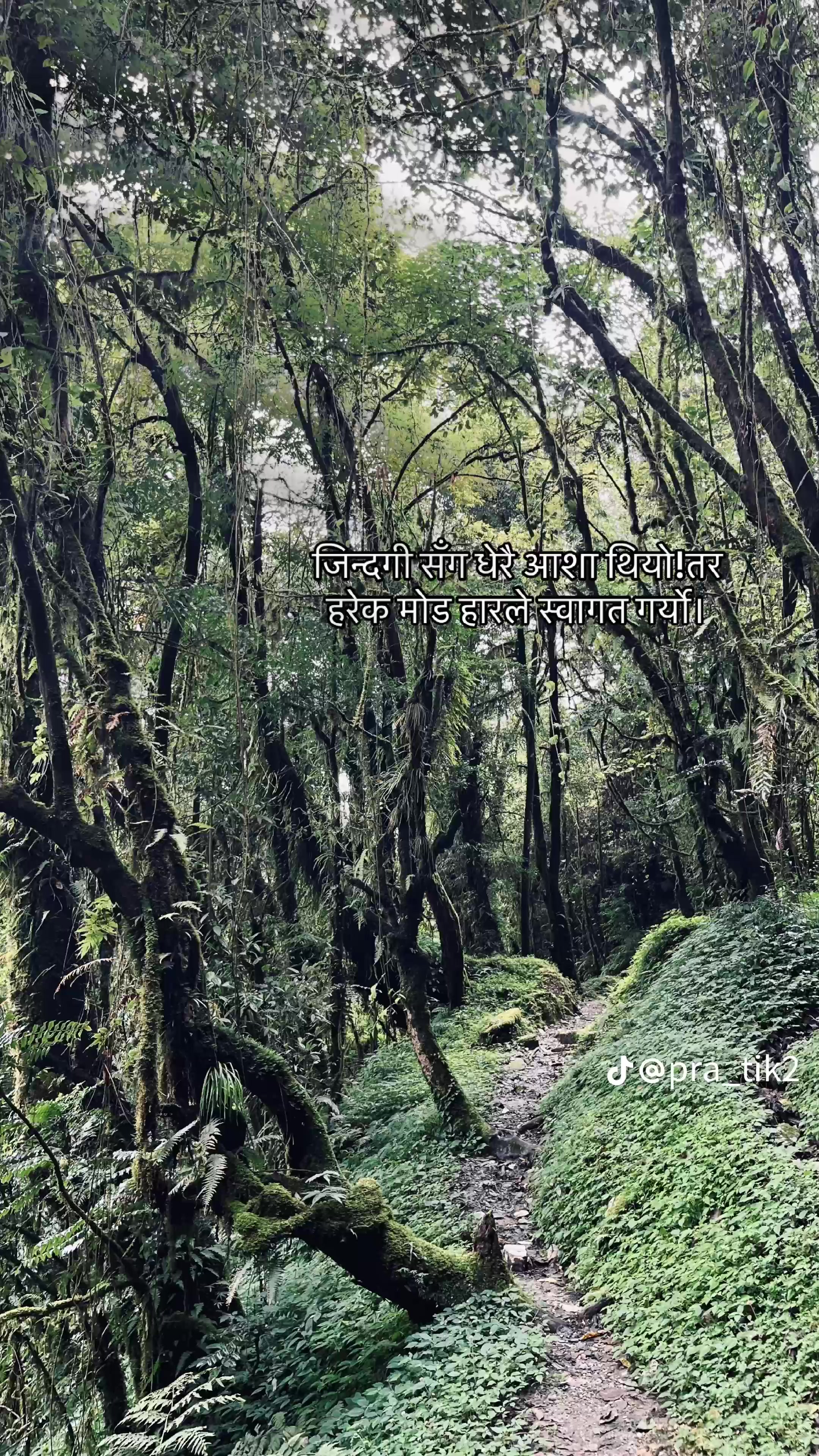 @punya giri👈️