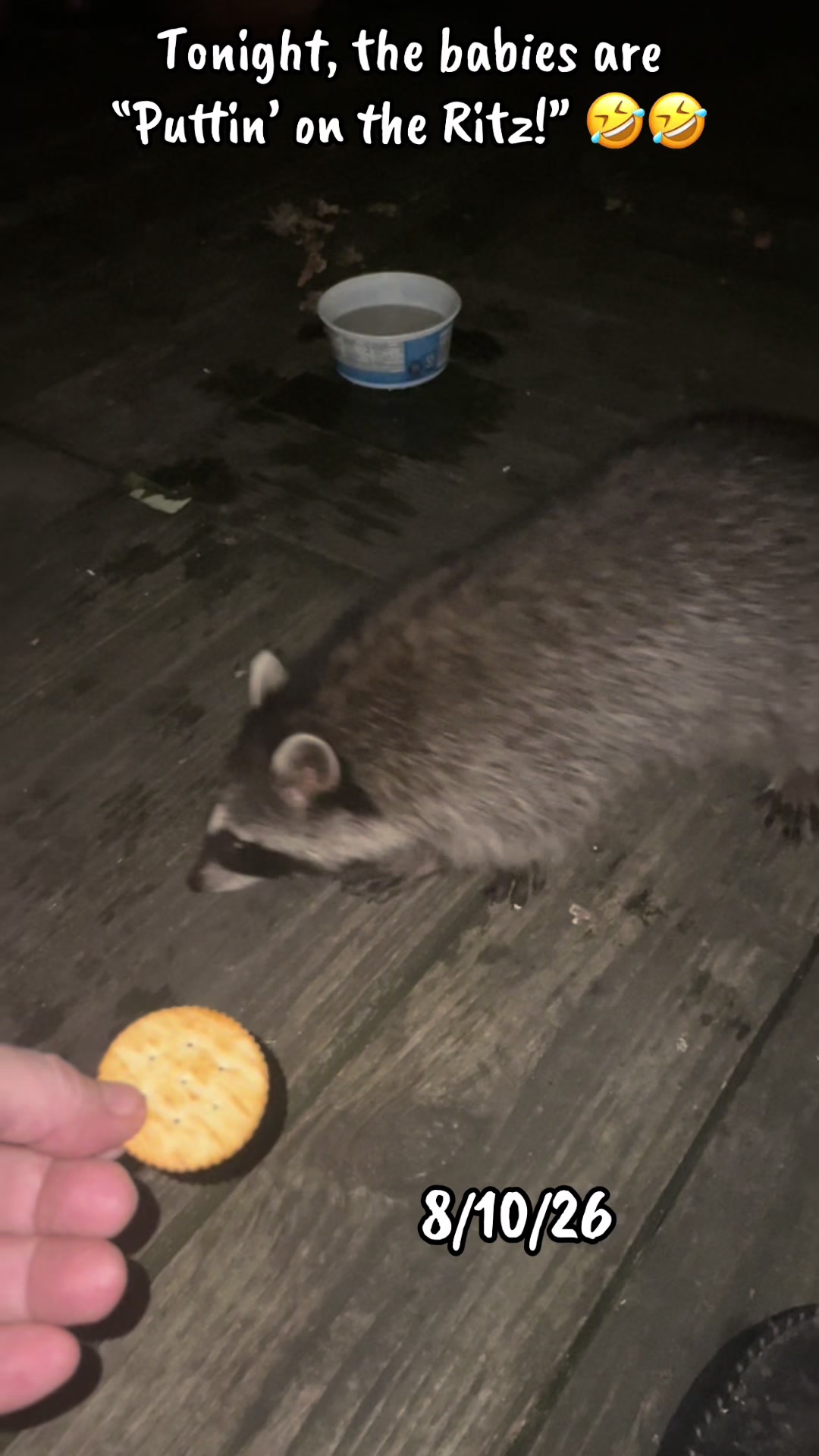 @LoneWolfKritterKam