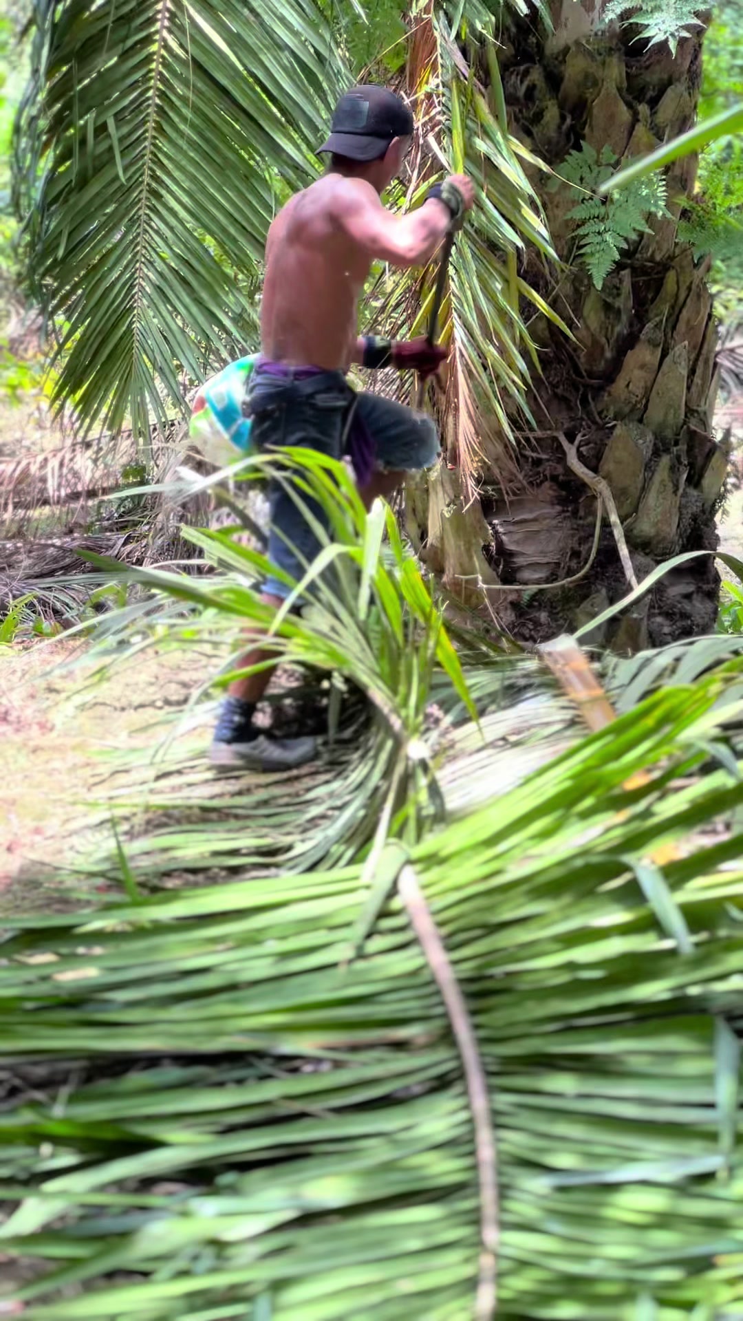 @Harry palm oil