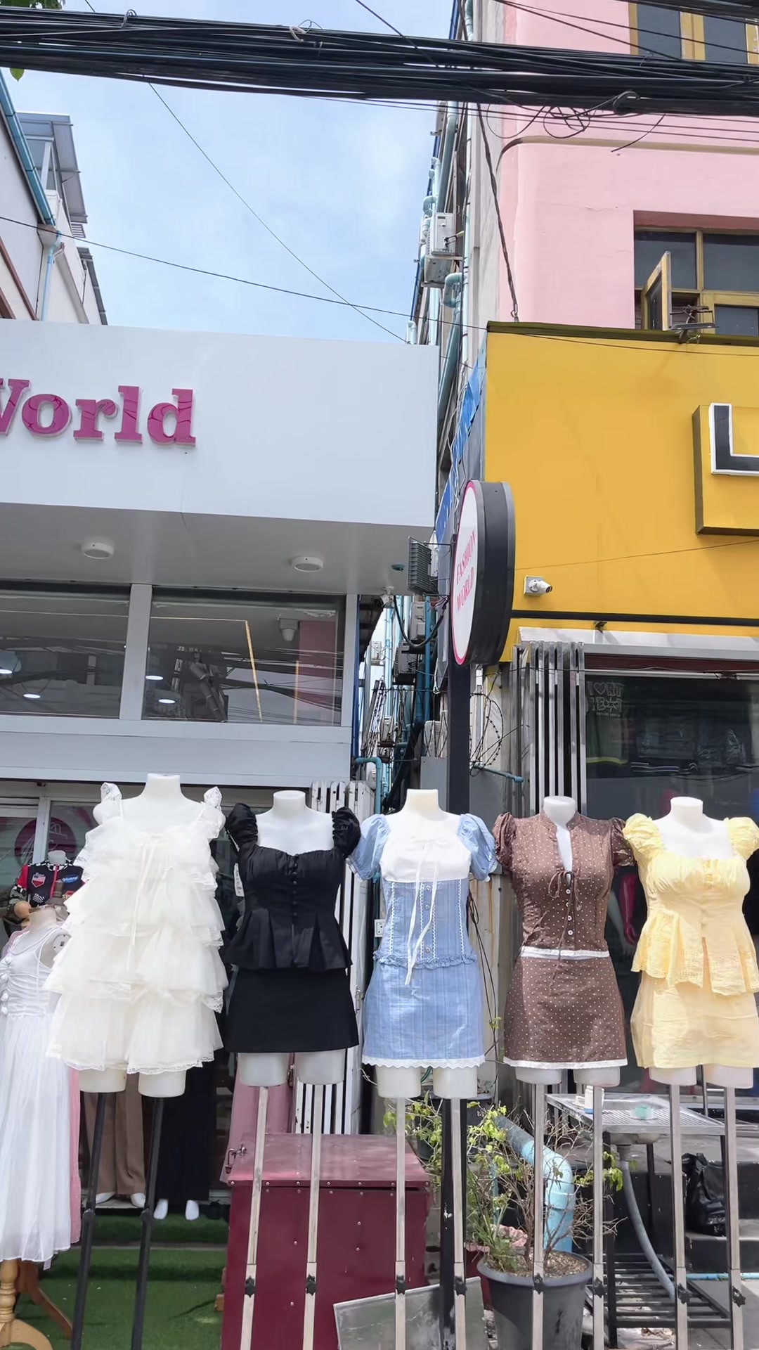 @Fashion World Z+N (Mdy)