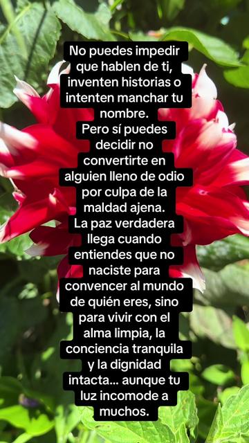 @Aida Kier